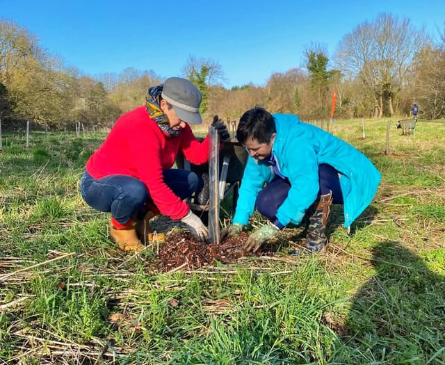 Council film depicts 3,000 tree planting project